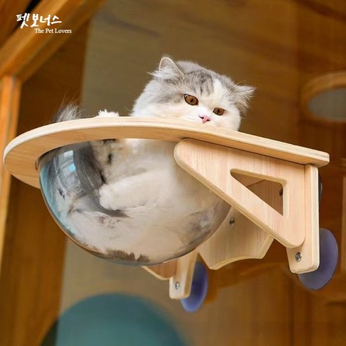 펫보너스 창문부착형 투명 우주캡슐 고양이 해먹, 4개, 4개