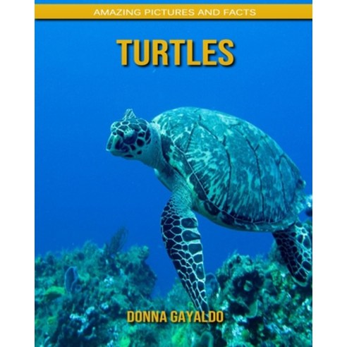 Turtles: Amazing Pictures and Facts Paperback, Independently Published