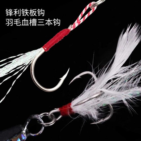 악바리 삼봉에기로 짜릿한 무늬오징어 사냥, 초보 탈출!