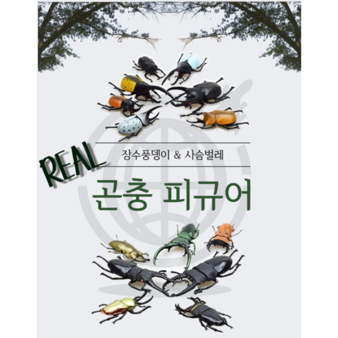 [더액세스 직수입 정품] 입체곤충도감 장수풍뎅이 사슴벌레, 사슴벌레  7종