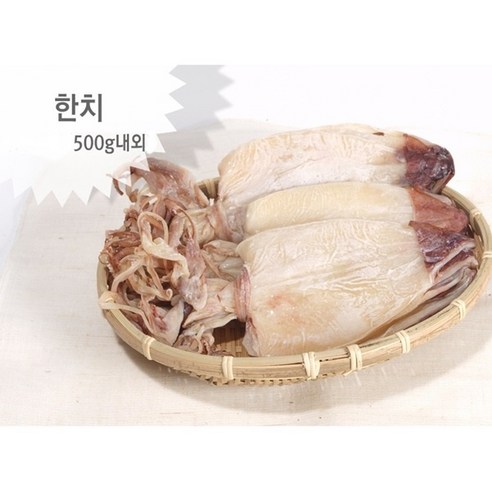 AAA급 한치 500g, 15마리