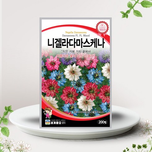 솔림텃밭몰 니겔라다마스케나씨앗 200립 니겔라 꽃씨앗