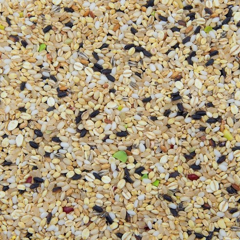 영양가 높고 다용성 있는 혼합곡