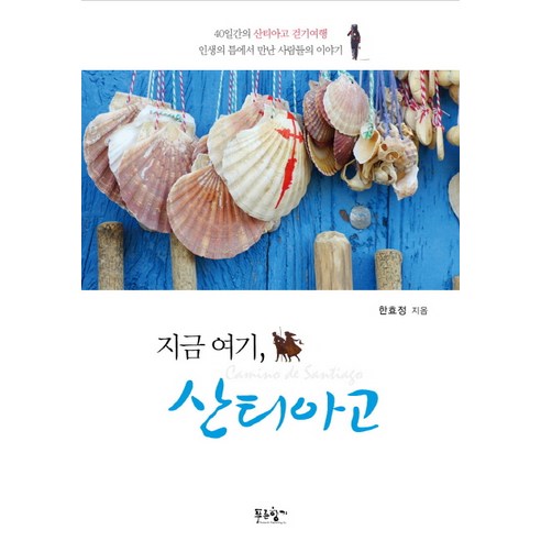 지금 여기 산티아고:40일간의 산티아고 걷기여행 인생의 틈에서 만난 사람들의 이야기, 푸른향기, 한효정 저