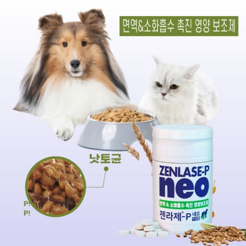 강아지 고양이 소화제 소화효소 소화효소제 소화영양제, 1개