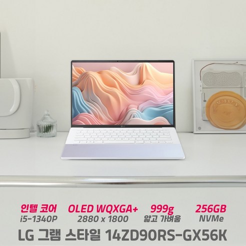 LG 그램 스타일 14ZD90RS-GX56K i5 16G 256GB OLED 고해상도 999g 초경량 노트북, 14ZD90S-GX56K, Free DOS, 16GB, 오로라화이트