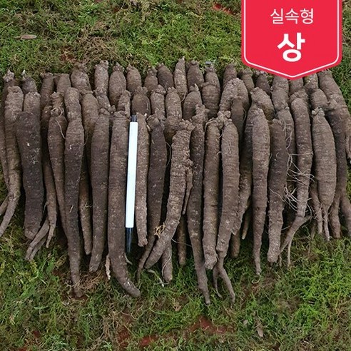 제주흙더덕 실속형 (상 중상 중) 2kg~5kg, (상) 10kg, 1개