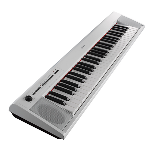 야마하 NP-12: 초보자와 예산이 적은 연주자를 위한 컴팩트하고 고품질 전자피아노