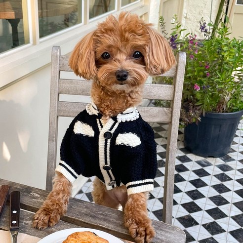 로로펫 강아지 고양이 노블레스가디건, 블랙