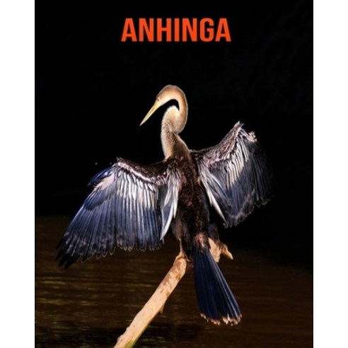 Anhinga: Beautiful Pictures & Interesting Facts Children Book About Anhinga Paperback, Independently Published, English, 9798556484290
