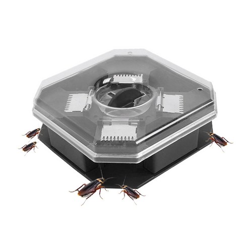 이한선생활과학 뉴 바른자세 밴드 M