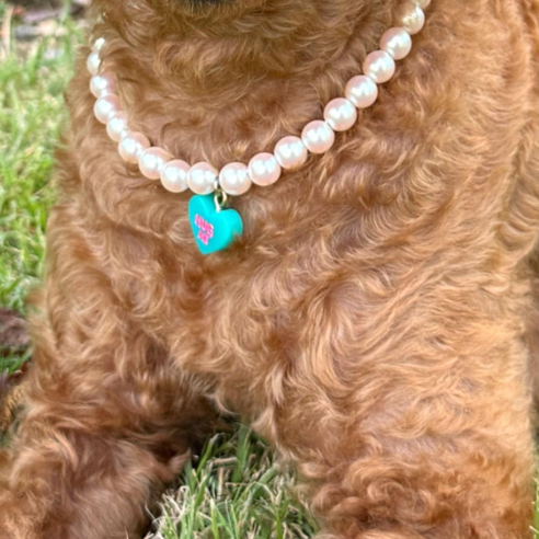 강아지 고양이 진주목걸이 반려견 애완견 목걸이 줄 하트목걸이, 1개, 스카이