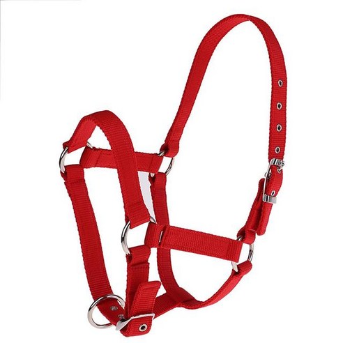 승마용품 승마바지 여성 헬멧 조끼 S/M/L 조정 가능한 말 목 홀더 Bridle Horse Halter 승마 Rein For Trai, 02 Red M