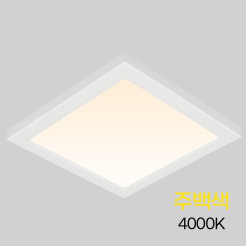 비츠온 사각 LED 직부등 엣지 10인치 20W 주백현관 베란다 복도 조명, 주백색(아이보리빛)