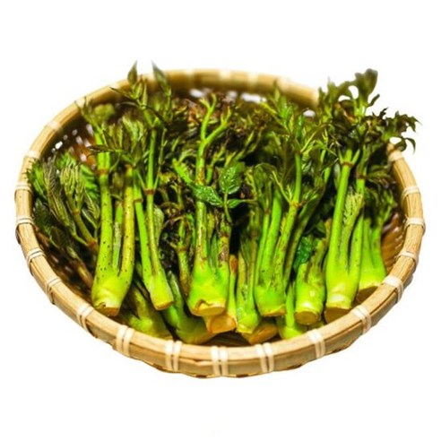 국내산 참 두릅 500g, 1개