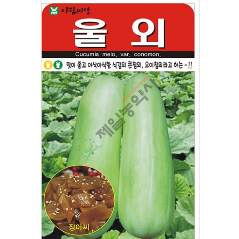 울외 20립 24년 오이참외 나나스케 장아찌용