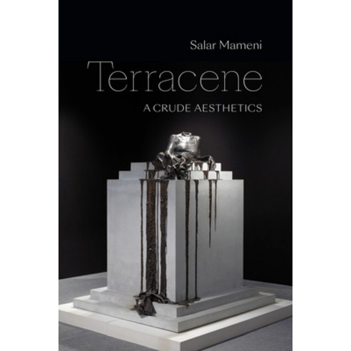 (영문도서) Terracene: A Crude Aesthetics Paperback, Duke University Press, English, 9781478025061