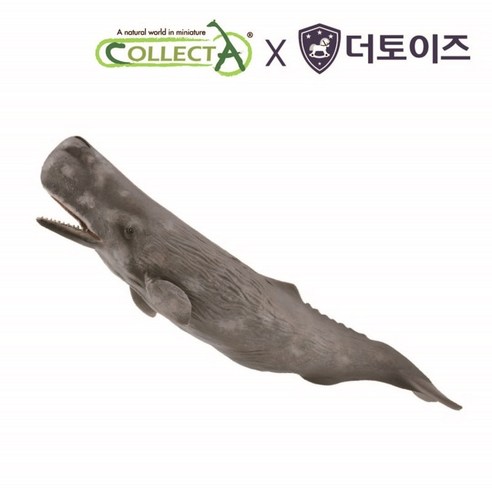 컬렉타 향유고래 해양 동물 물고기 피규어 장난감 모형은 어린이에게 안전하고 교육적인 가치를 제공하는 완구입니다.