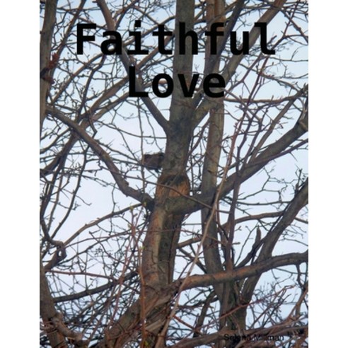(영문도서) Faithful Love Paperback, Lulu.com, English, 9781105732126