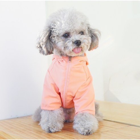 강아지실내복 외출복 소형견 중형견옷 반려견옷 후드집업 티셔츠 푸들옷 자외선차단 산책, 연오렌지(XL)