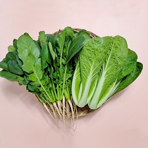 포천 싱싱 어린열무 4kg 얼갈이 4kg 1개 세트, 어린열무4kg+얼갈이4kg
