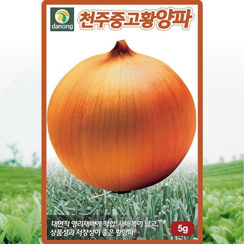 다농 천주중고 황양파 씨앗 5g 1봉지 다농 천주중고 황양파 씨앗 5g 1봉지