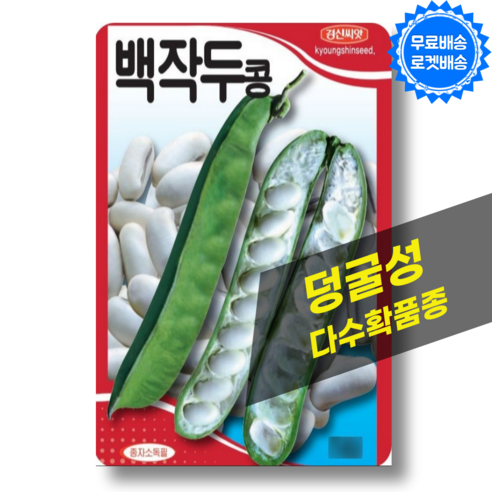 작두콩 씨앗 (10립) 덩굴성 콩 씨앗 씨 종자, 1개