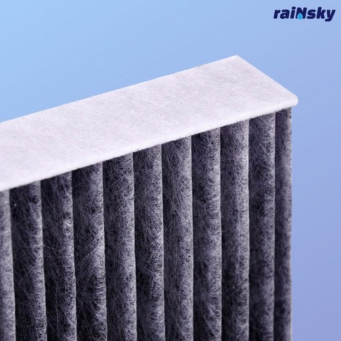 레인스카이 제네시스 에어컨필터는 프리미엄 활성탄과 항균 기능을 갖춘 고성능 필터입니다.