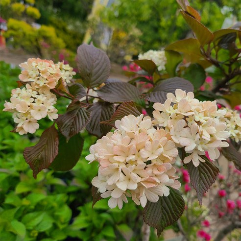 자연의 아름다움을 집안에