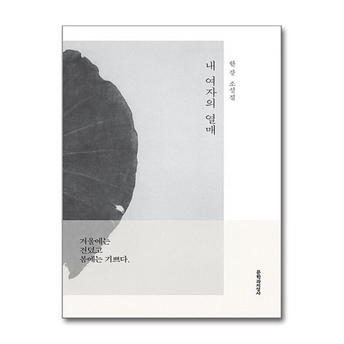 채식주의자 + 노랑무늬영원 세트 (전2권) / 2024 노벨문학상 수상작가 한강 9 아이와함께 내 여자의 열매 2024 노벨문학상 수상작가 한강 문학과지성사