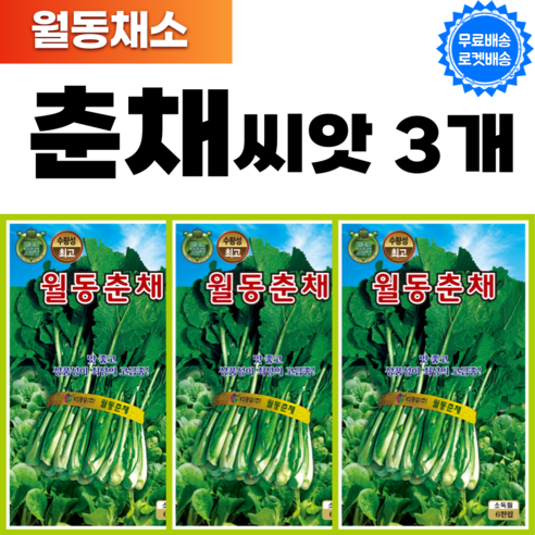 월동 춘채씨앗 3개 겨울채소 종자 유채나물 겨울초 월동초 종자, 1세트