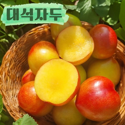 오라밀 프리미엄 꿀 햇 자두 농장 산지직송, 중과(적정해요), 1박스, 2kg