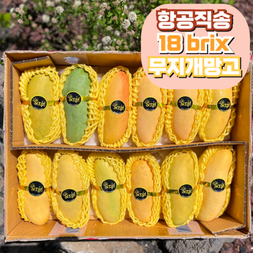 고당도 항공직송 무지개망고 마하차녹 태국망고, 1개, 2kg(3-7과)