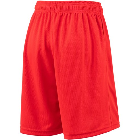 여름을 활기차게 해주는 테슬라 메쉬 트레이닝 반바지