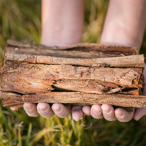 국산 유근피(단) 느릅나무뿌리껍질 건 말린 마른 한방 약초 차 달임 국내산, 2개, 200g