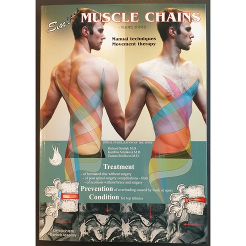 머슬체인(Muscle chain) 스미섹 메소드 척추 사선 안정화 운동