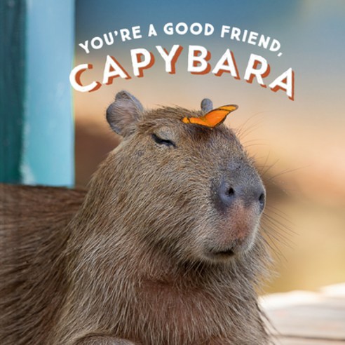 (영문도서) You''re a Good Friend Capybara Hardcover, Chronicle Books, English, 9781797210575