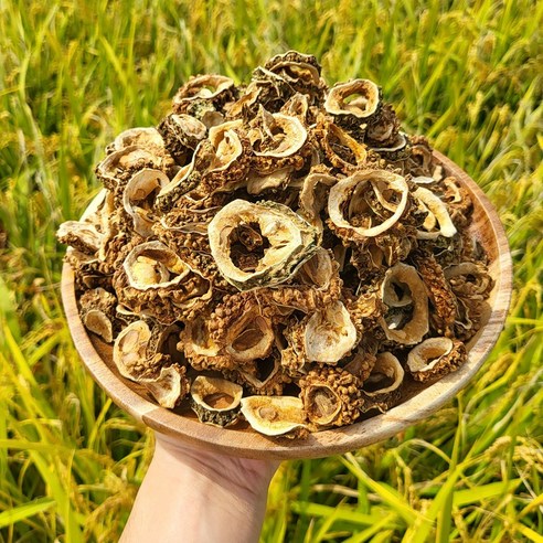 건강한 삶을 위한 필수품, 천지농원 국산 볶은 여주차