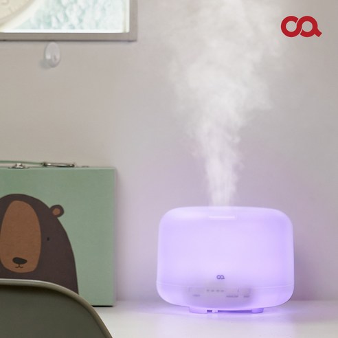 건조한 공기를 위한 편안함과 스타일의 오아시스