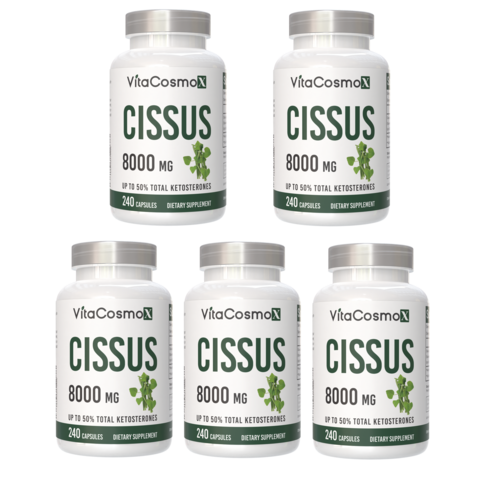 VitaCosmoX 시서스 추출물 Cissus 고함량 고농축 8000mg 케토스테론 50% 시서스 캡슐 시서스 가루 분말