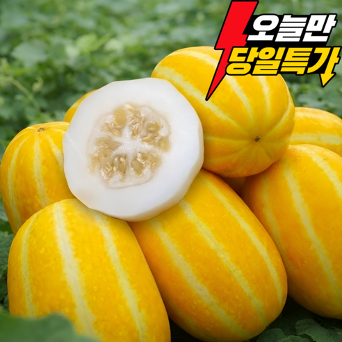 [산지직송] 성주참외 재구매1위 제철과일 꿀뚝뚝 당도보장, 1박스, 3kg (가정용 혼합과)