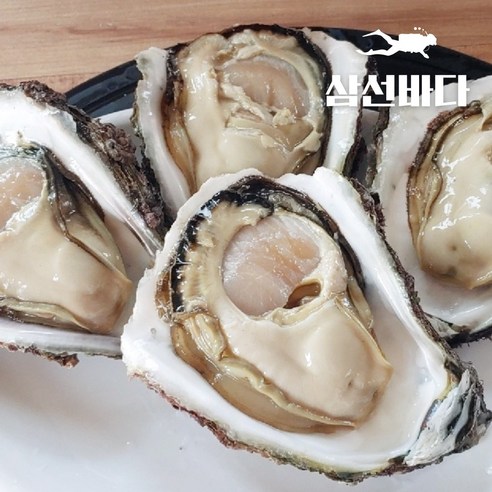 청정 거제 바다의 신선함을 식탁으로, 바위굴 하프 5kg