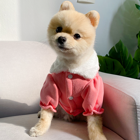 데댕 하이스프링 숄더퍼 강아지옷 강아지유치원복 강아지봄옷, 핑크