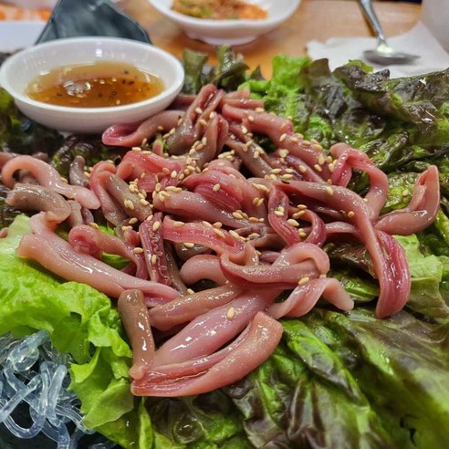 신선함이 살아 숨쉬는 바다의 선물, 자연산 생물 개불 참개불 회 음미 후기 개불