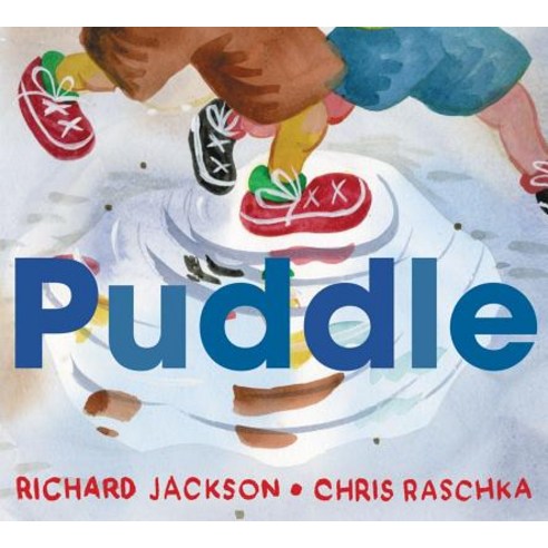 Puddle Hardcover, Greenwillow Books, English, 9780062651952