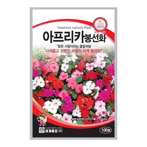 아프리카 봉선화 씨앗 봉선화 씨 꽃 종자 100립, 1개