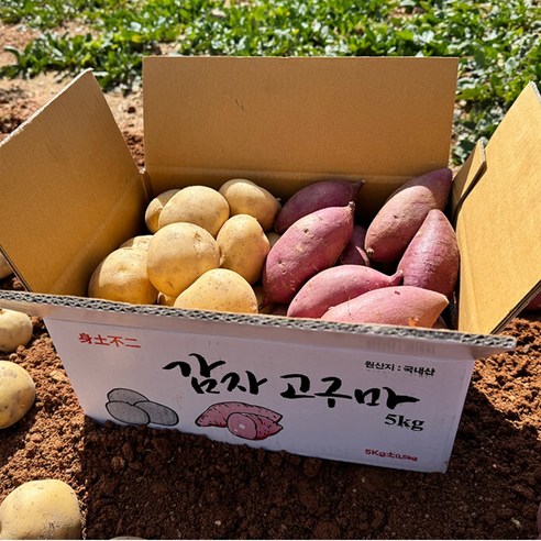 채소다움 국내산 감자+고구마 세트 2kg/3kg/5kg 캠핑필수, 1개, 꿀고구마1kg+감자1kg