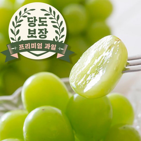 오라밀 고당도 샤인머스켓 씨없는 포도, 1개, 500g