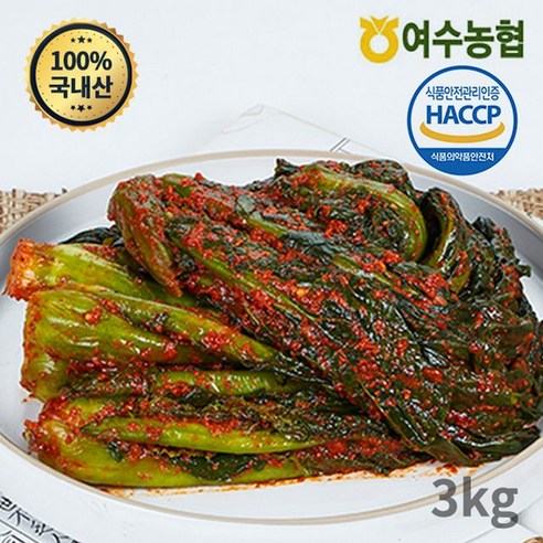 [여수농협] 여수돌산 갓김치 4kg, 1개 – 농협 현지에서 만든 신선한 갓김치, 4kg 1통
