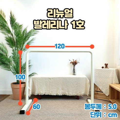 1인용 발레바로 시작하는 우아한 변화